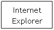 Text Box: Internet Explorer

