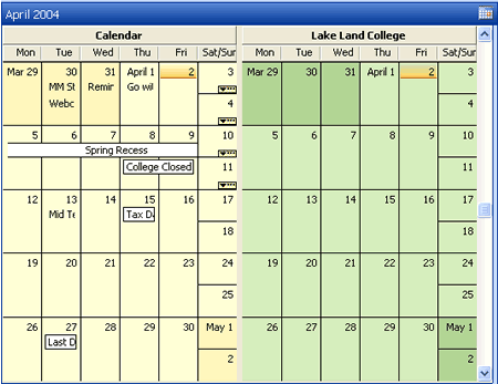 Shared Calendar View