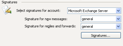 Signatures area in Mail  format  tab of the Options dialog box